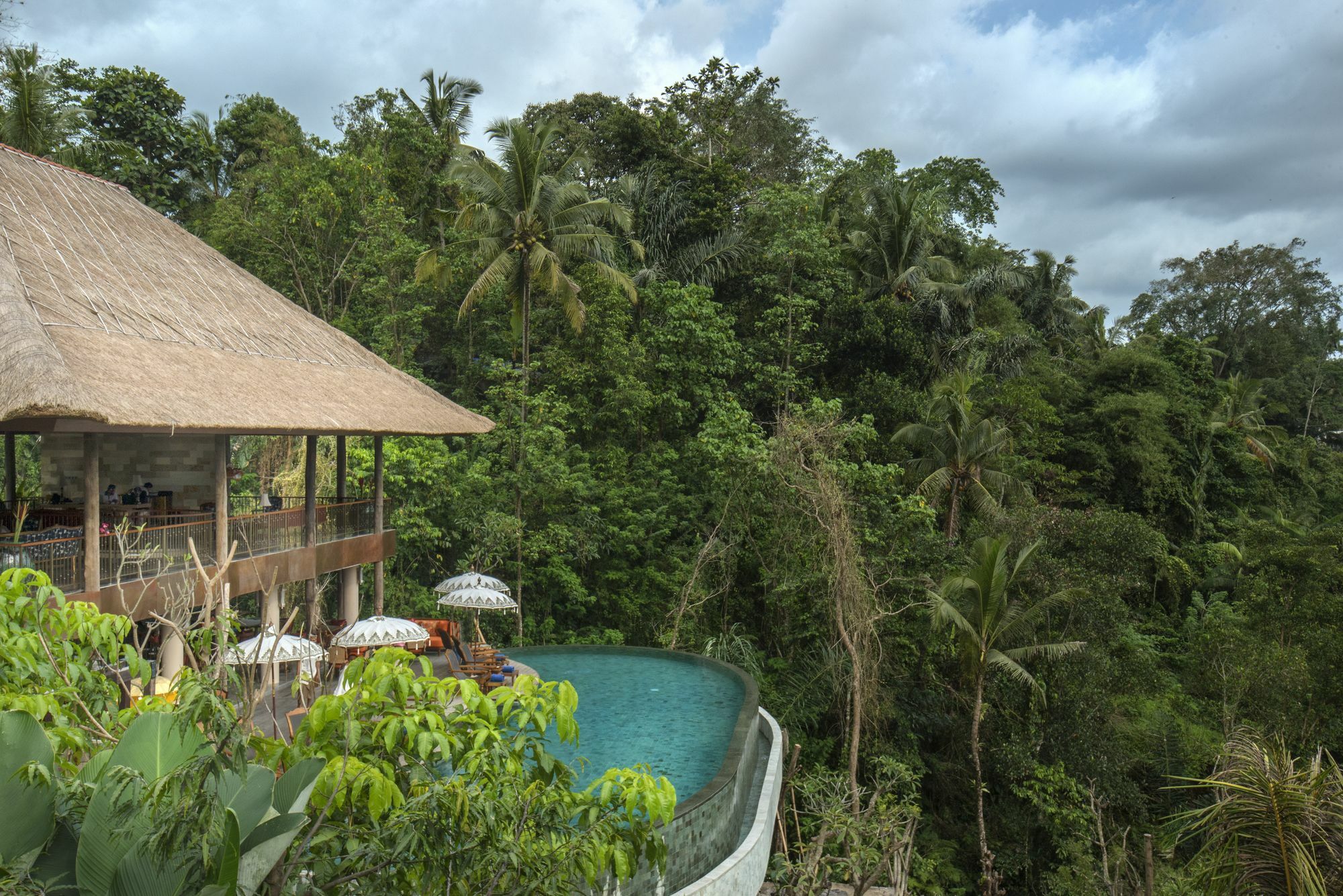 Natya Resort Ubud מראה חיצוני תמונה A view of the rainforest from the resort